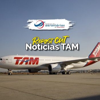 02 07 tam-cut