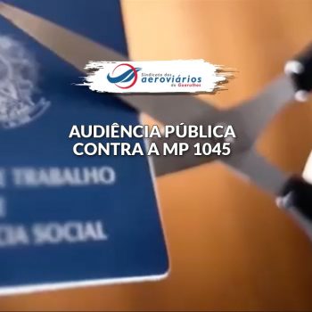 audiencia publica mp 1045