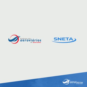 sneta